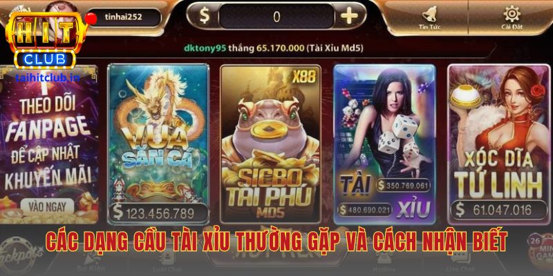 Các dạng cầu đòi hỏi kỹ năng quan sát thống kê