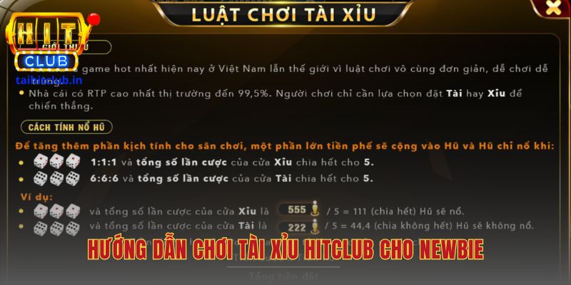 Chơi tài xỉu Hitclub với quy trình trực quan cho người mới