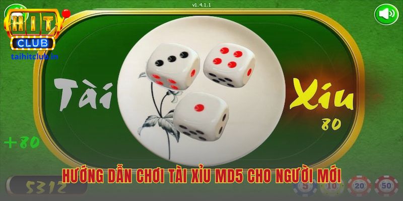 Thuật toán tài xỉu Hitclub hướng dẫn các bước chơi cơ bản