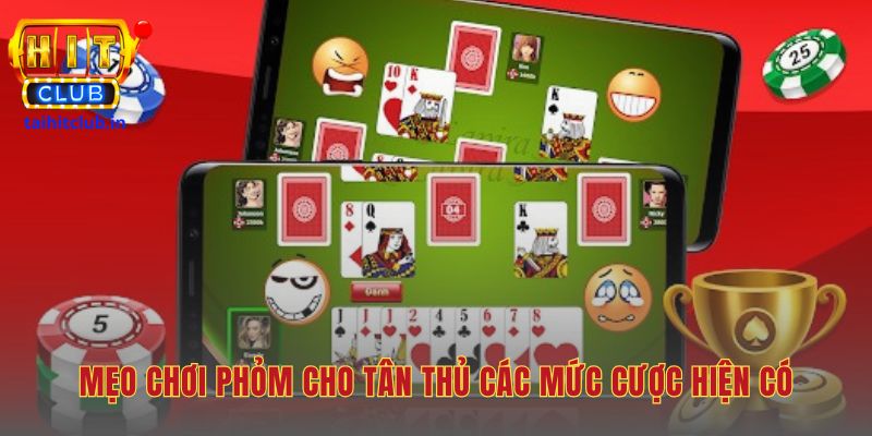 Mẹo chơi Phỏm ứng dụng chiến thuật câu bài và xé cạ hợp lý