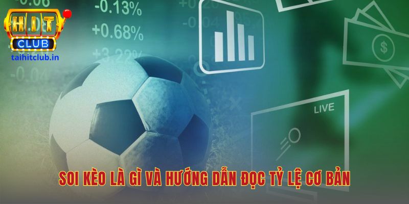 Giải mã các loại kèo cược cơ bản như châu Á và châu Âu