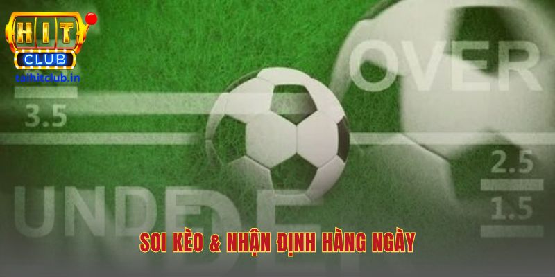 Nhận định hàng ngày phân tích các trận đấu hấp dẫn nhất